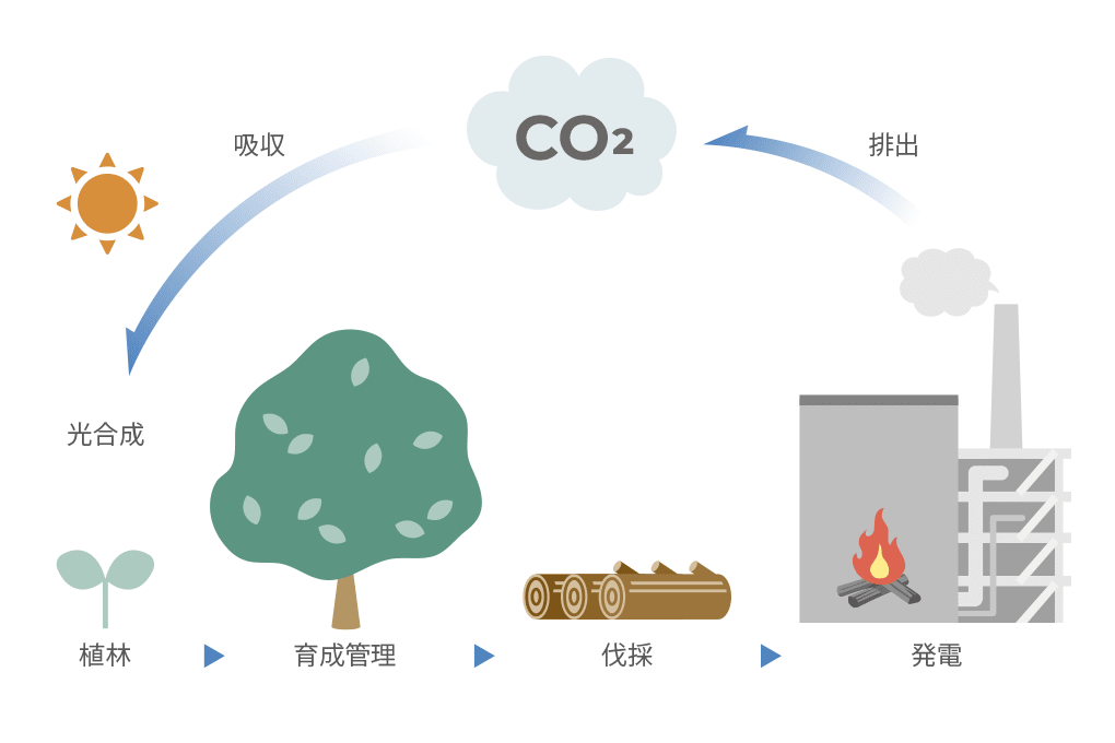 イラスト:バイオマス発電ボイラ